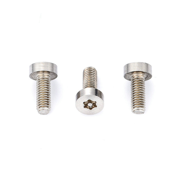 CD pattern torx with pin stainless steel low cup head Screws