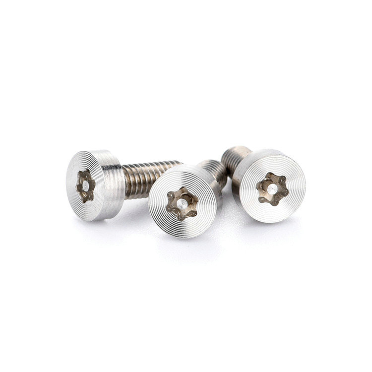 New design stainless steel satin brushed cup head torx screw