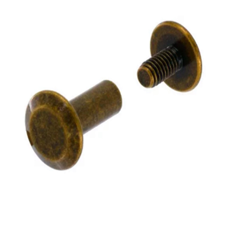 Customized classical antique brass color solid brass chicago screws