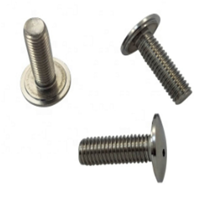 New design passivated low head shoulder snake eye security screw