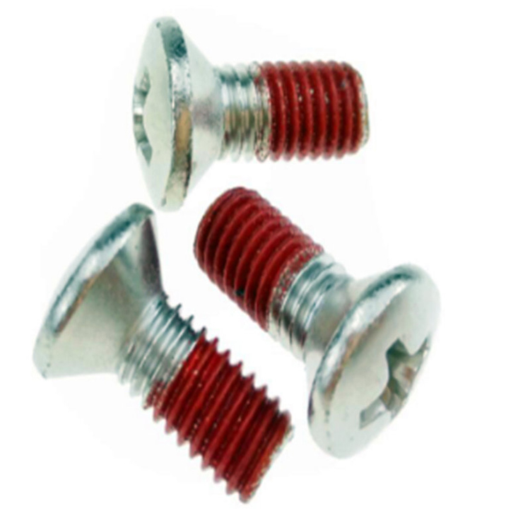 Stainless Steel Oval Head PH2 Machine Screws with Nylon patch
