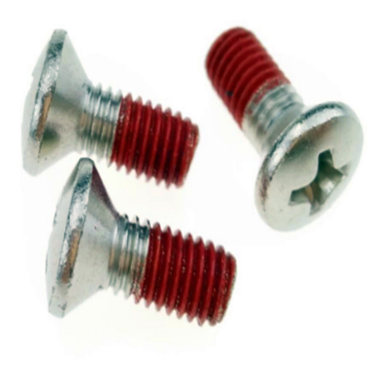 Stainless Steel Oval Head PH2 Machine Screws with Nylon patch