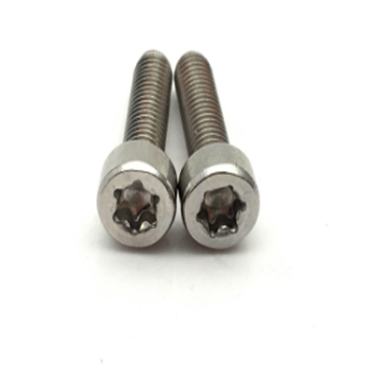 ISO14579 stainless steel 304 allen head torx anti loosing screw