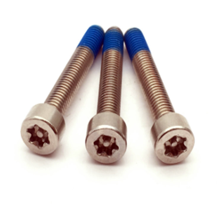 M5 ISO14579 stainless steel 304 nylon coated torx fix lock bolt