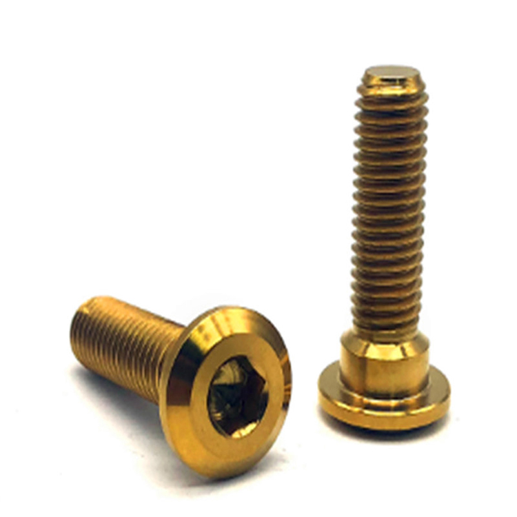 Wholesale gold color pan head hex socket bike titanium screw