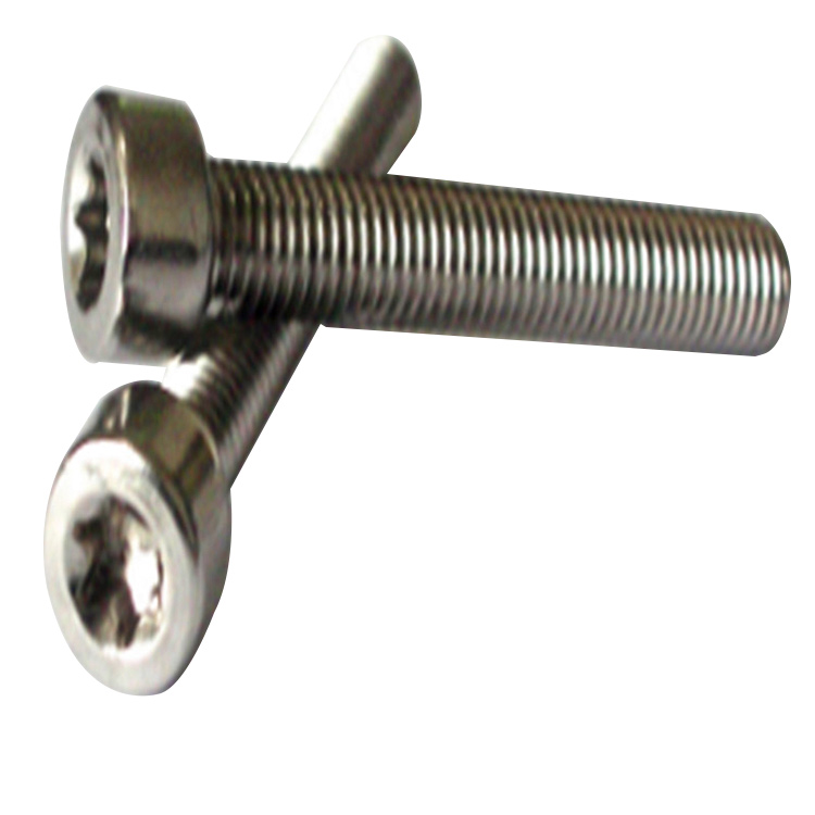Direct deal fastener hex socket low cup head screws