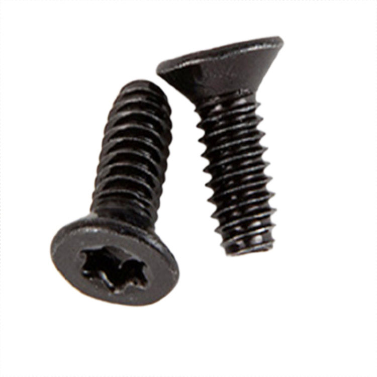 Stainless Steel Torx Countersunk head Electronics Micro screw