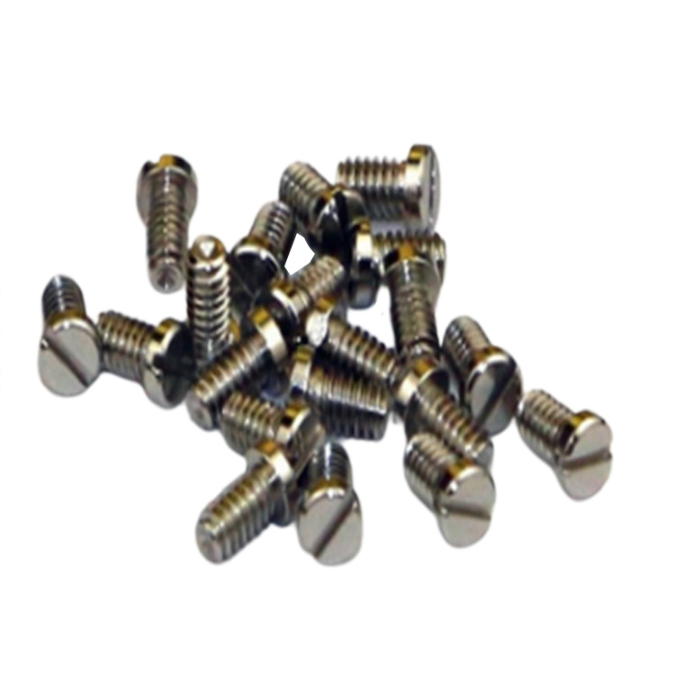 Customized M0.6~M1.0 small micro screw for smart watch