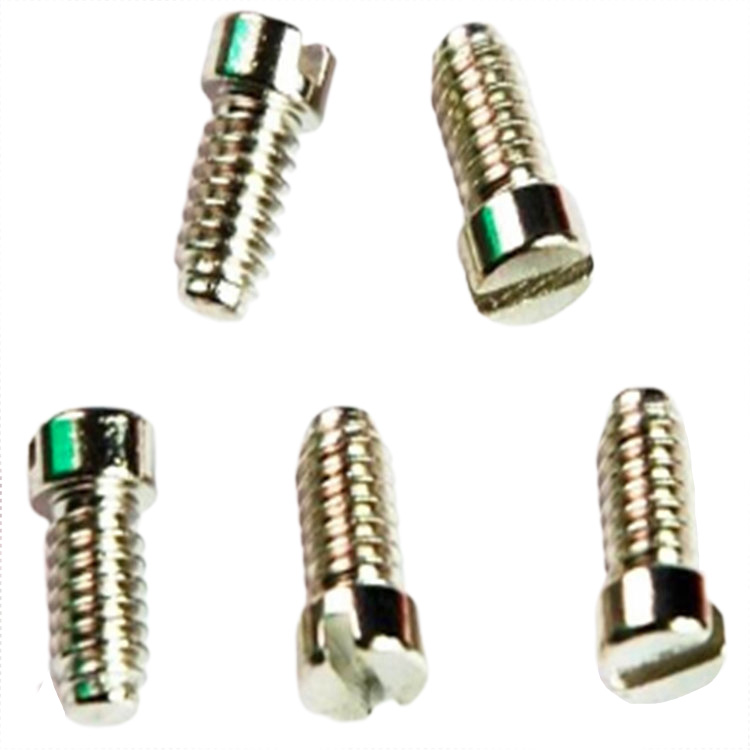 Stainless steel M0.6 M0.7 M1.0 small micro screw for smart watch