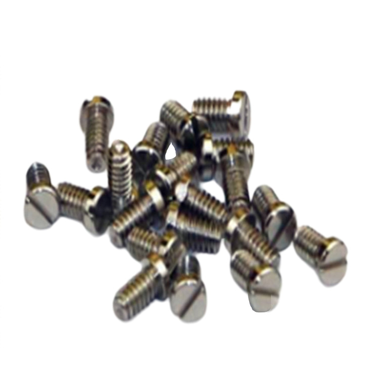 Stainless steel M0.6 M0.7 M1.0 small micro screw for smart watch