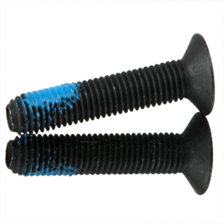 Black Stainless Steel Countersunk Head Socket Machine Screws with Nylon patch 