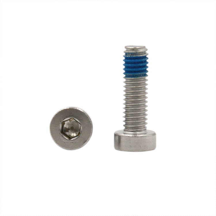 Customized stainless steel 304 hex socket low cup head micro locking bolt