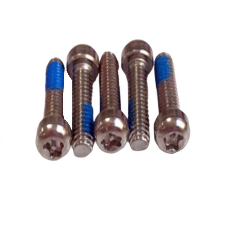 Customized stainless steel 304 round head torx locking screw