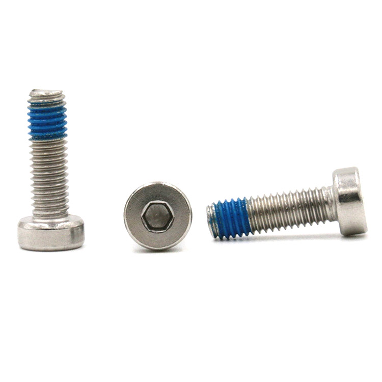 Customized stainless steel hex socket cup head locking bolt