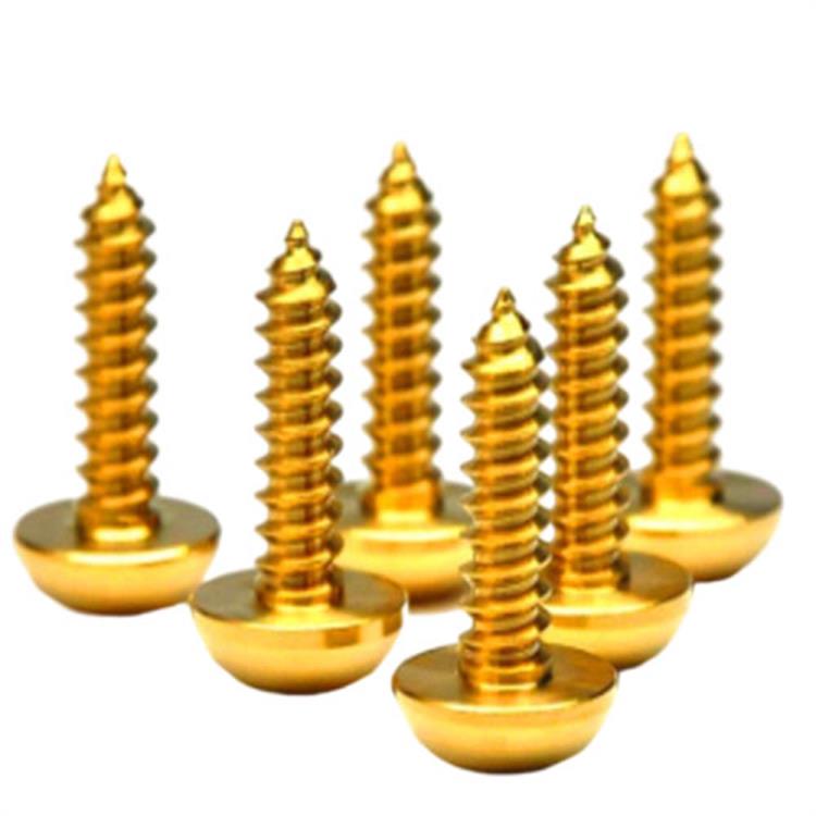 Golden color titanium pan head torx screw