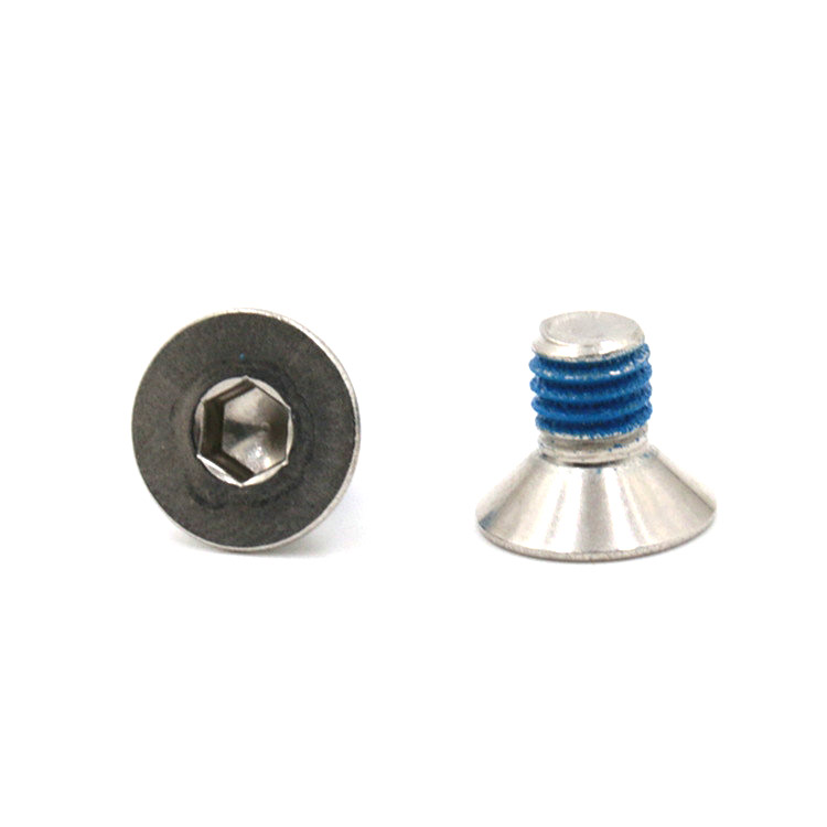 Hot selling raised countersunk head socket micro locking screws
