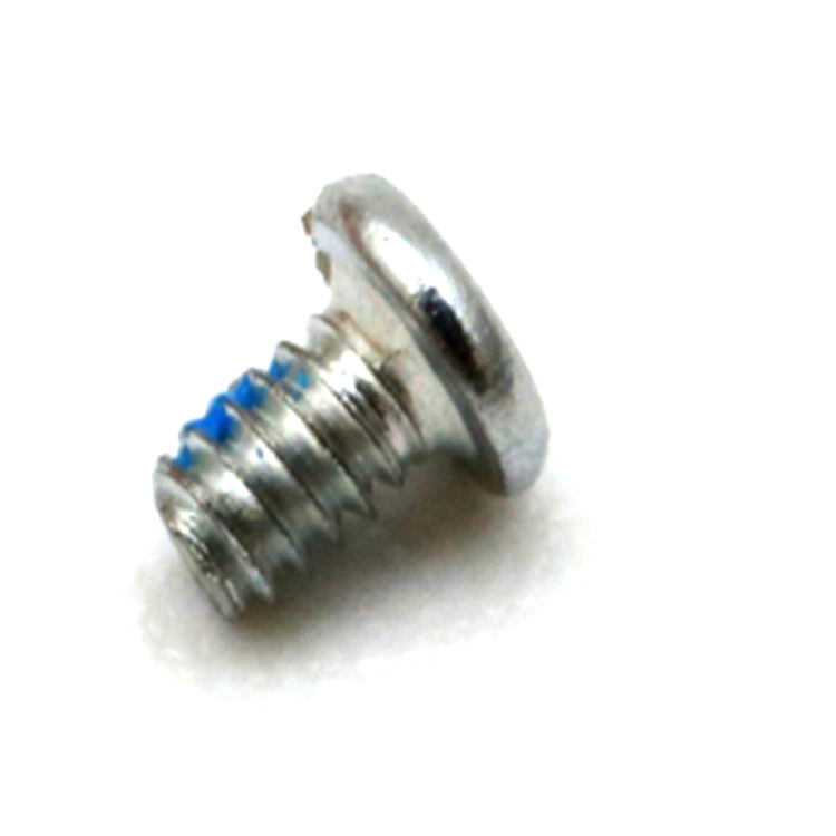 Round head torx screw with nylon patch