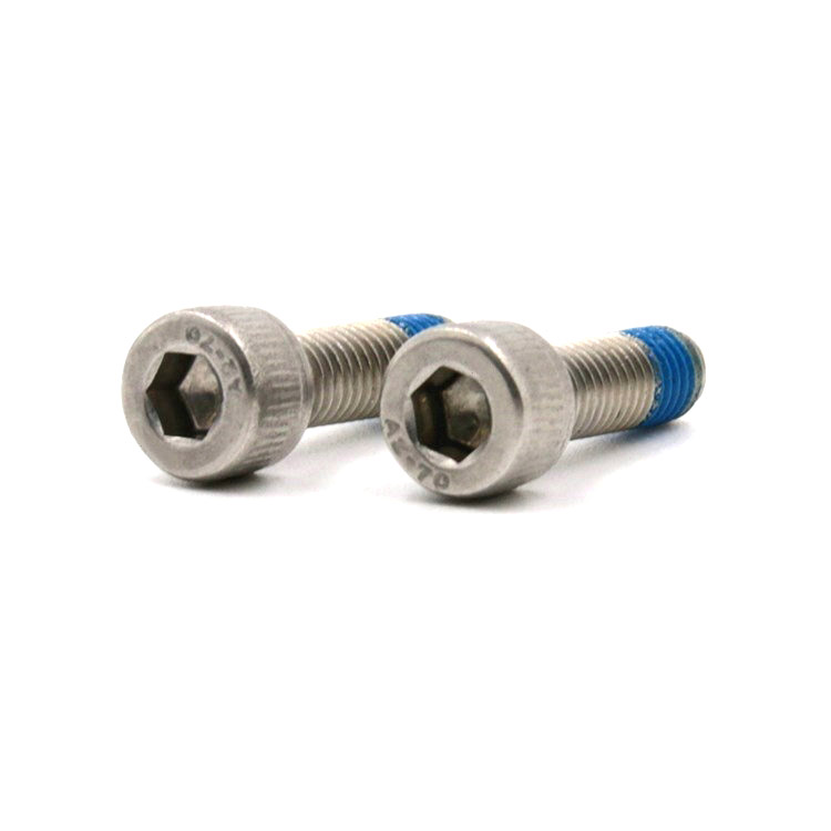 Stainless steel 18-8 hex socket cup head mini micro locking screw