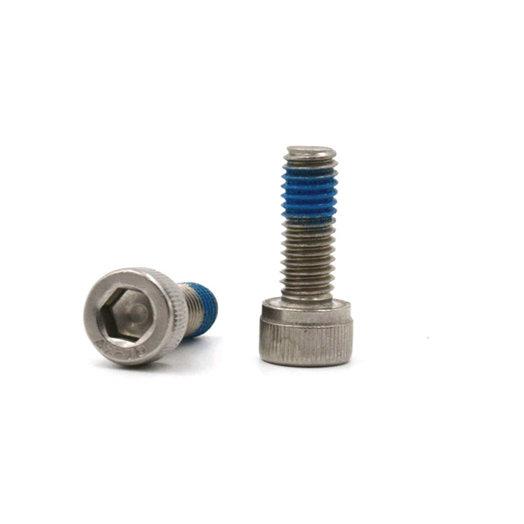 Stainless steel 18-8 hex socket head locking screw