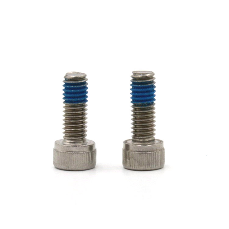 Stainless steel 18-8 hex socket head locking screw