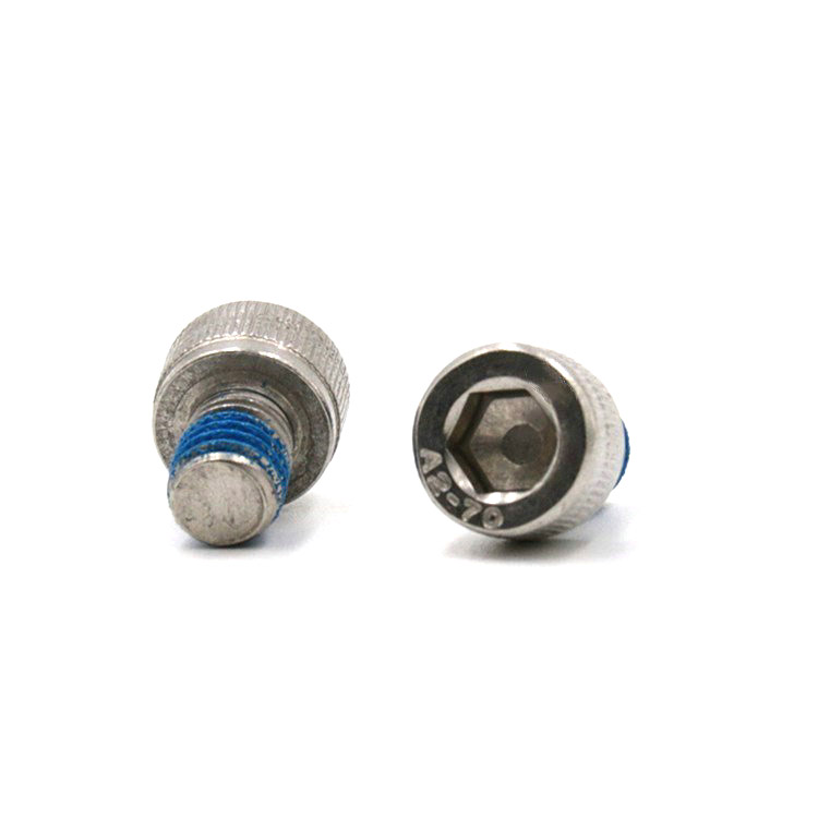 Stainless steel 304 hex socket cup head micro screw with nylon patch