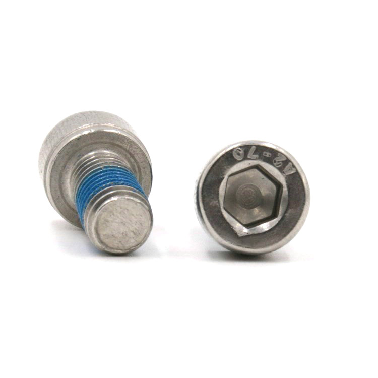 Stainless steel 304 hex socket head screw with nylon patch