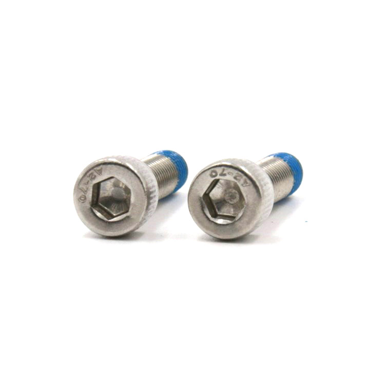 Stainless steel hexagon socket cup head screw with nylon patch