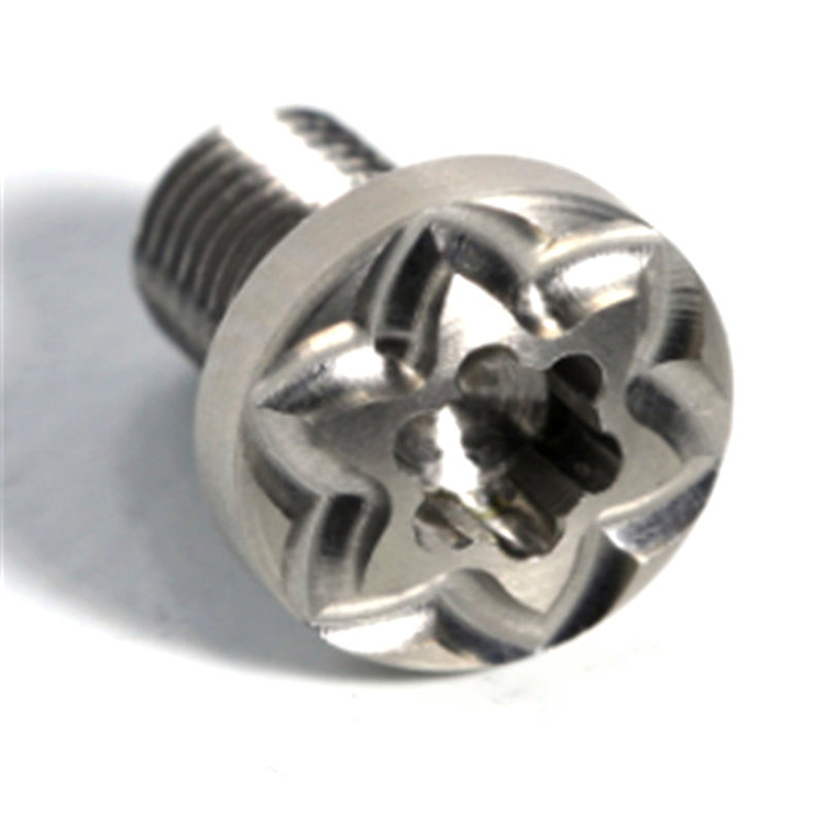 Stainless steel non-standard customized torx screw