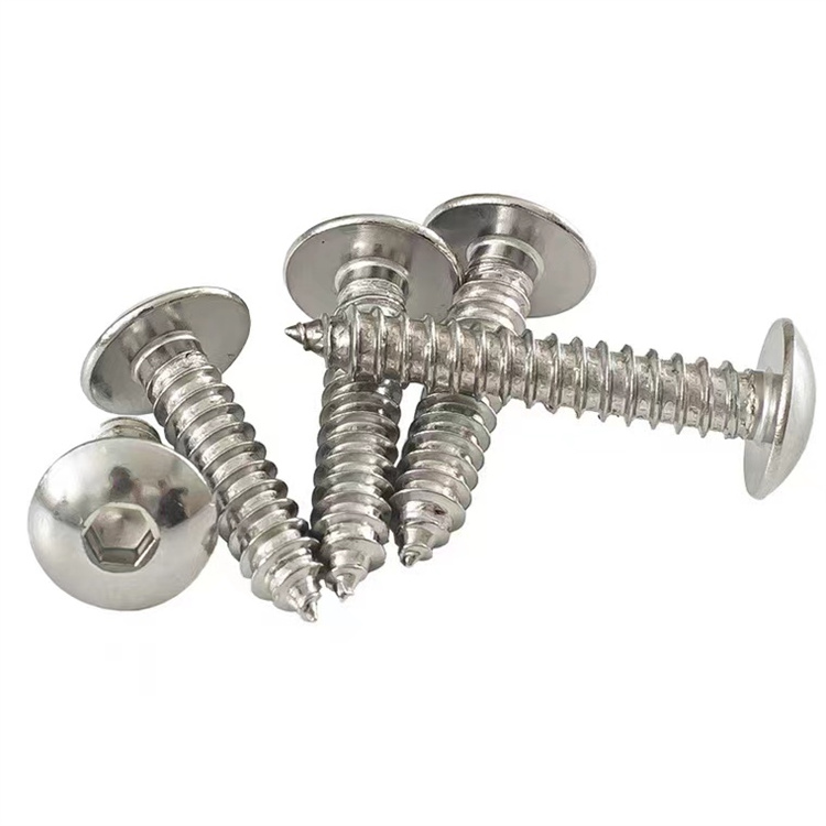 Stainless steel m4 socket allen umbrella head wood screw (1)Stainless steel m4 socket allen umbrella head wood screw 