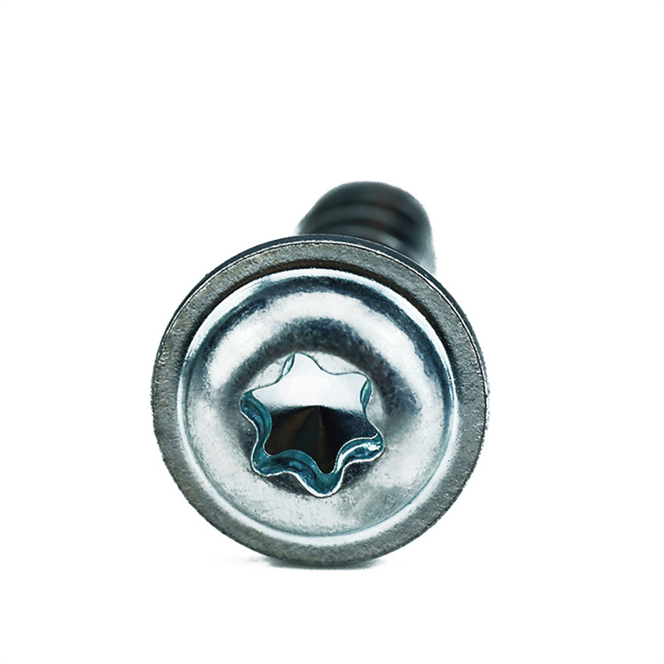 M5 pan washer head torx flat end thread forming screw 